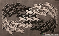 VBS_4984 - Mostra Escher